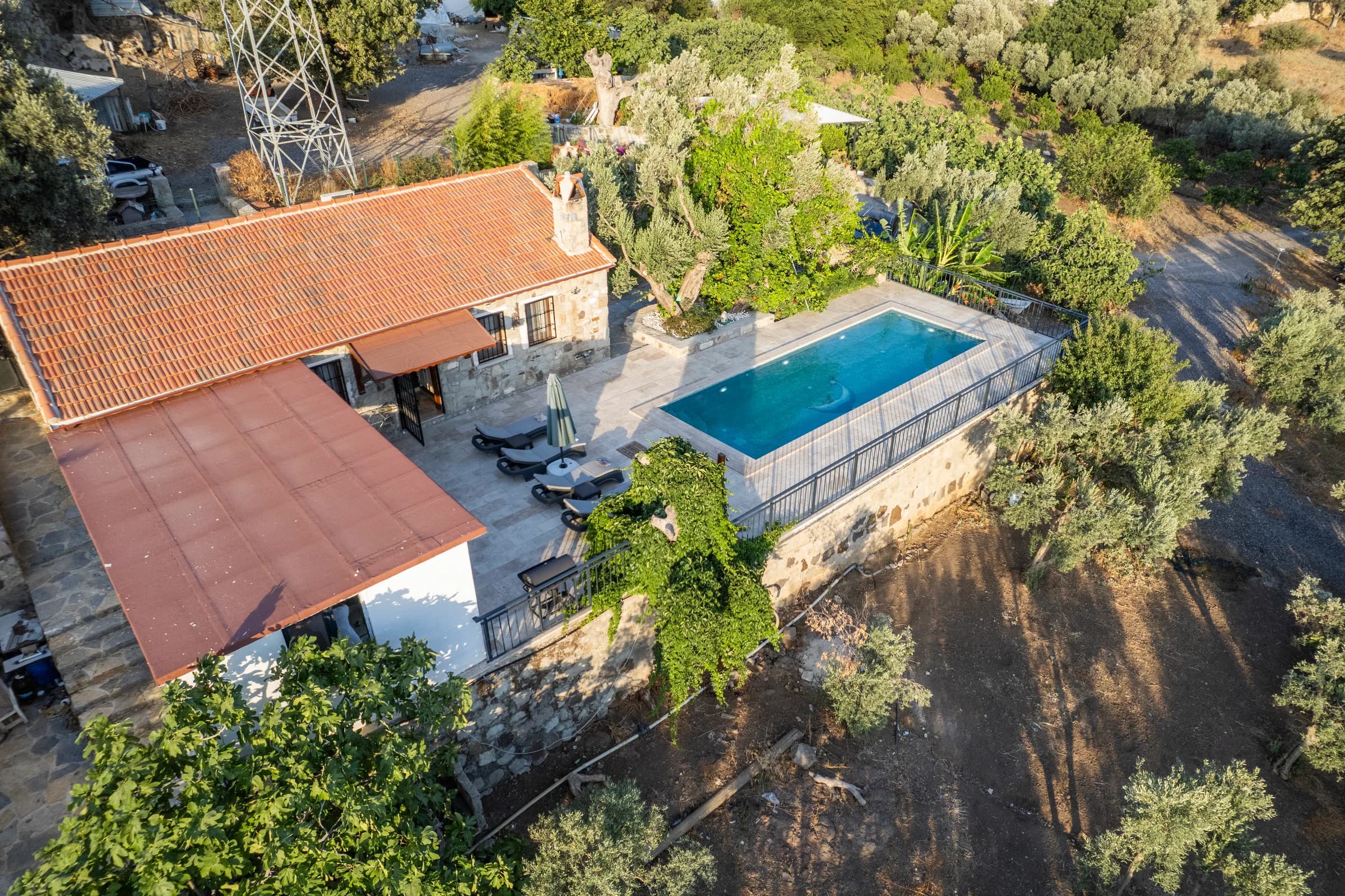 Bodrum Ortakent Villa Daisy korunaklı özel havuzlu villa görünümü galeri gorseli 4