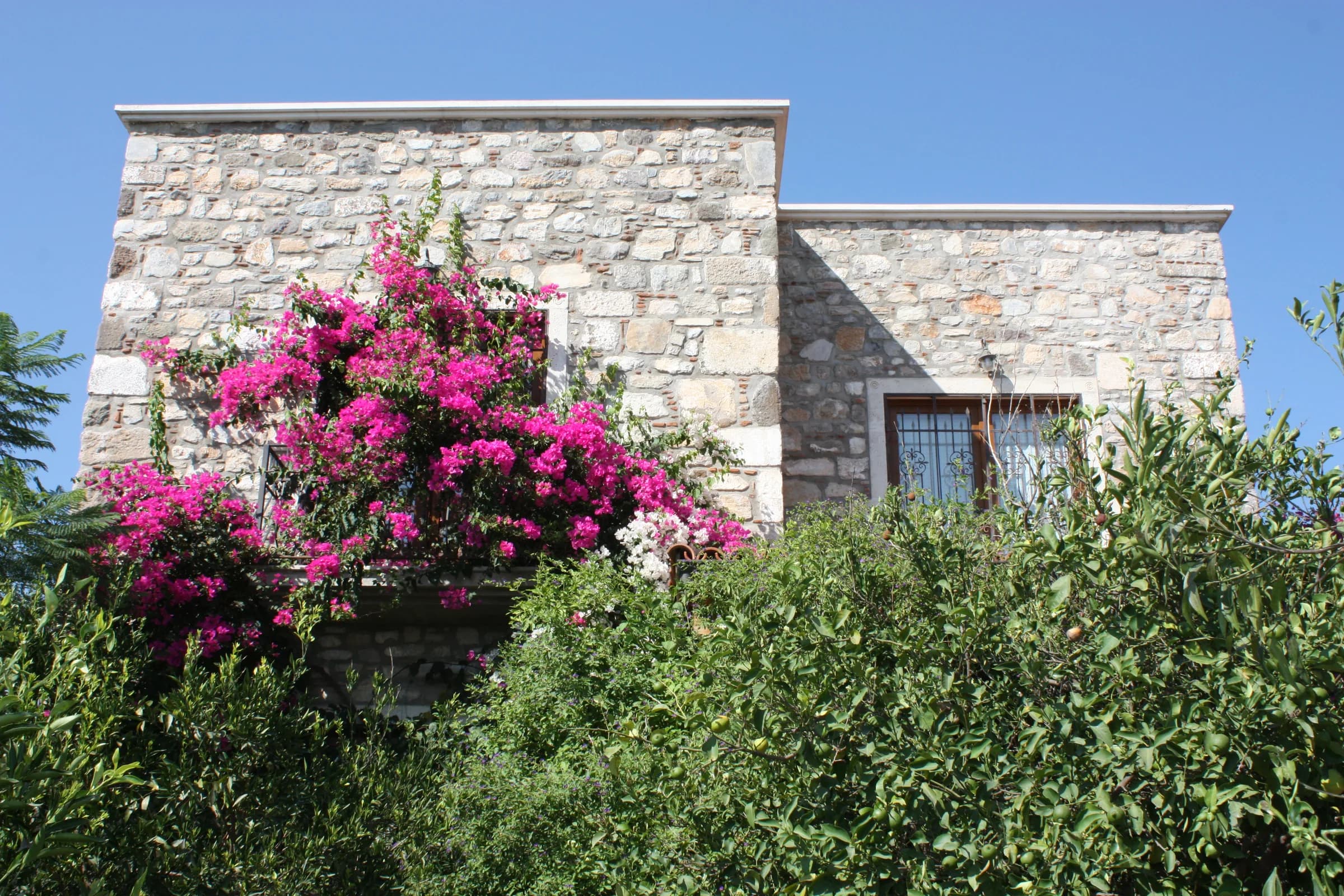 Bodrum Bitez Villa Mandarin özel havuzlu villa görünümü galeri gorseli 4